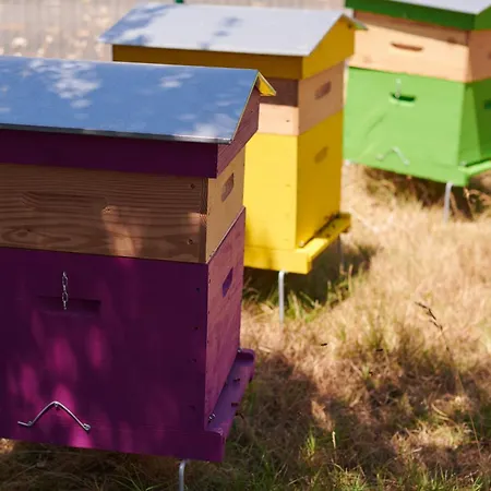 Greet Saint-nazaire Nouvelle Marque Du Groupe Accor Hotel