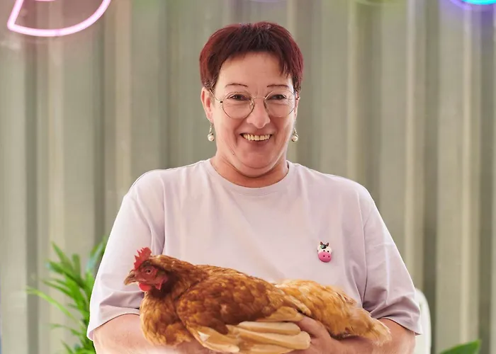 Hotel Greet Saint-nazaire Nouvelle Marque Du Groupe Accor 3*