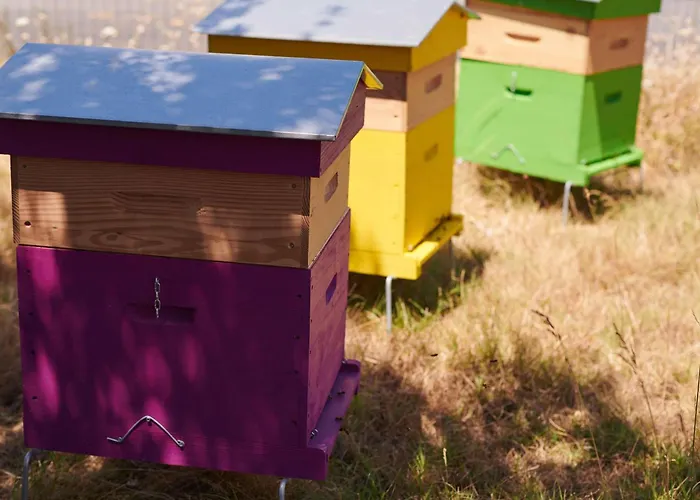 Hotel Greet Saint-nazaire Nouvelle Marque Du Groupe Accor 3*